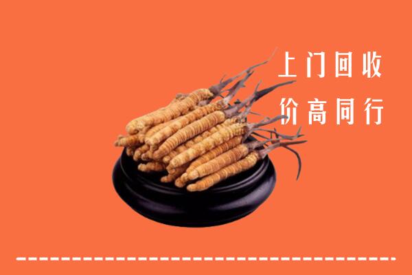 高价求购：咸阳市回收散虫草