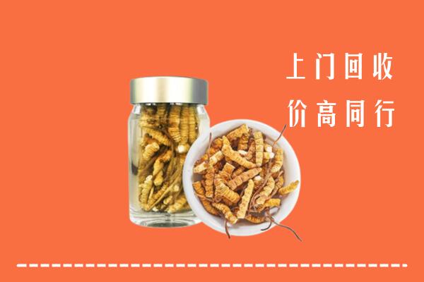 咸阳市回收冬虫夏草